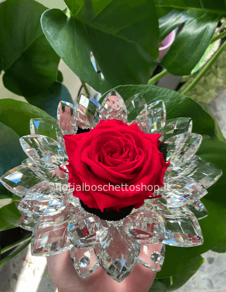 Maxi Rosa stabilizzata incorniciata da mandorle di cristallo