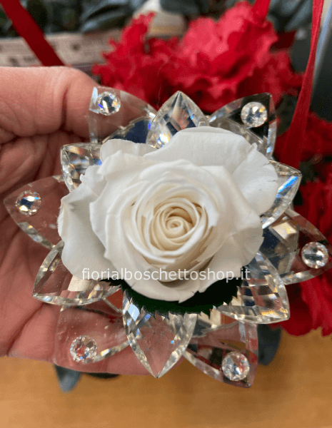 Rosa stabilizzata in grande ninfea