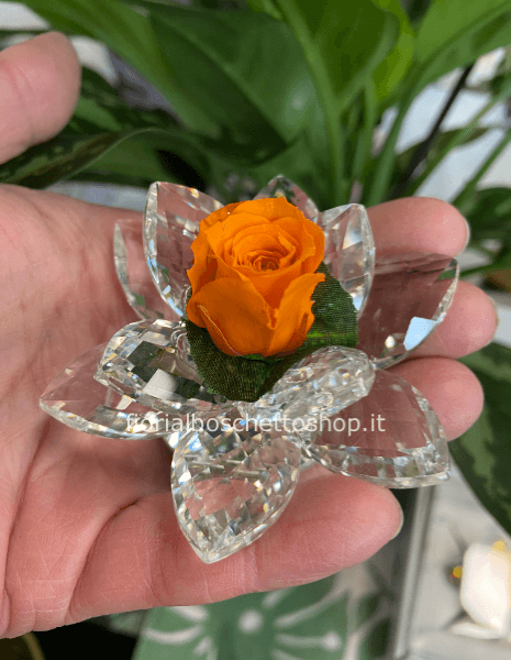 Rosa stabilizzata in piccola ninfea